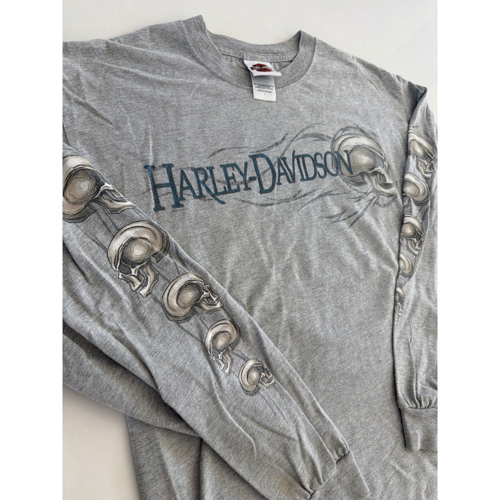 Vintage Harley-Davidson St Paul MN Skull Long Sleeve Shirt Grey Large Hanes